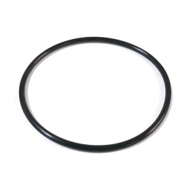 Aqua UV Union O-Ring 2"