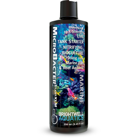 Brightwell MicroBacterSTARTXLM 500ml