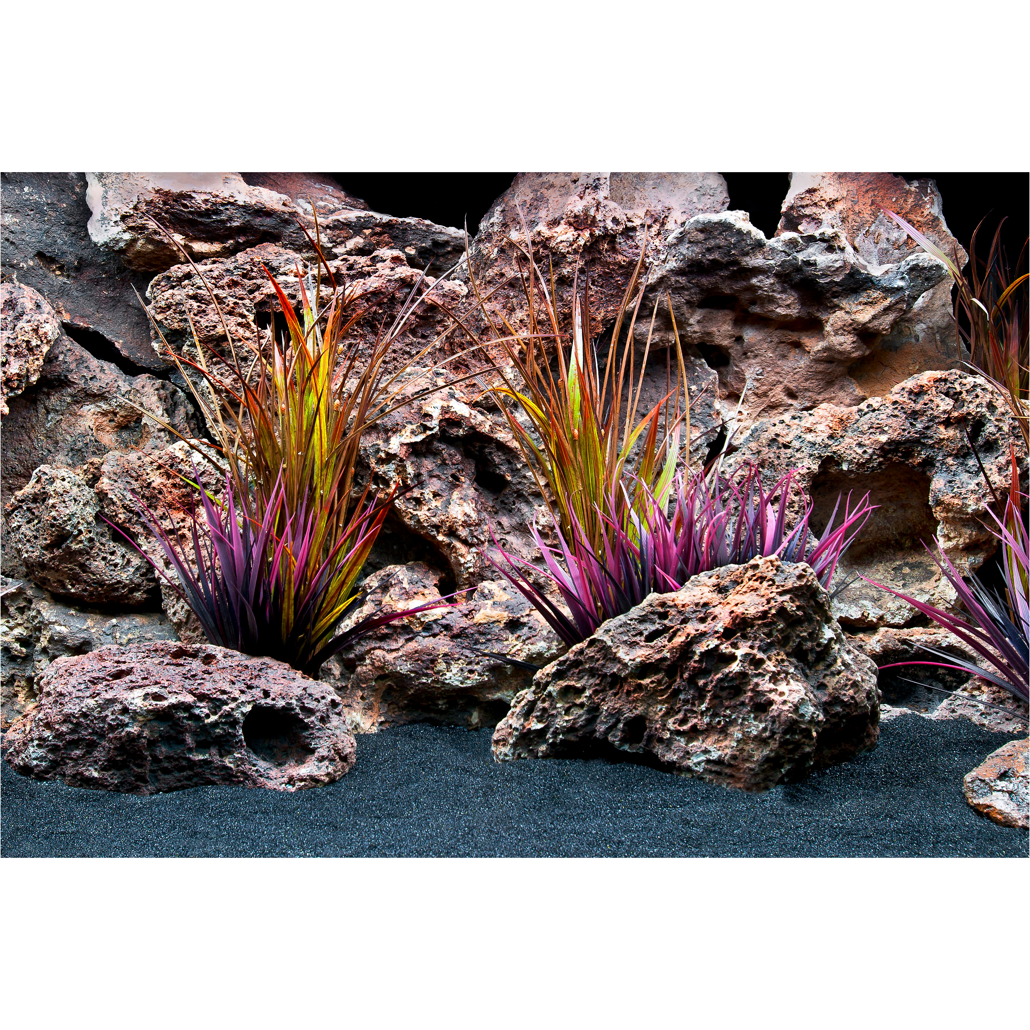 Arrière-plan réversible Marina Flore Jungle/Feuillage violacé (12x24