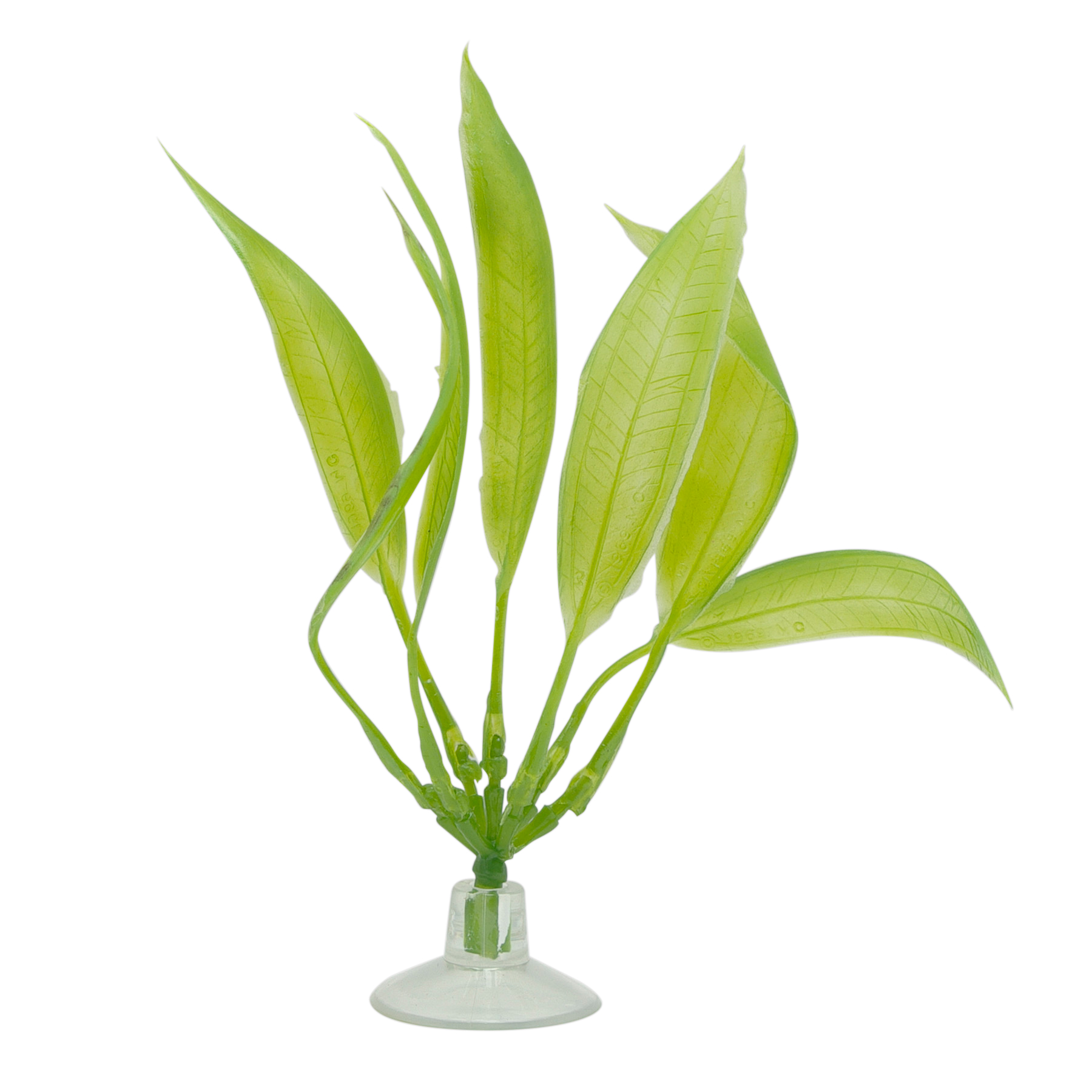 Plante-épée amazone pour aquarium équipé Marina pour betta - 12.7cm