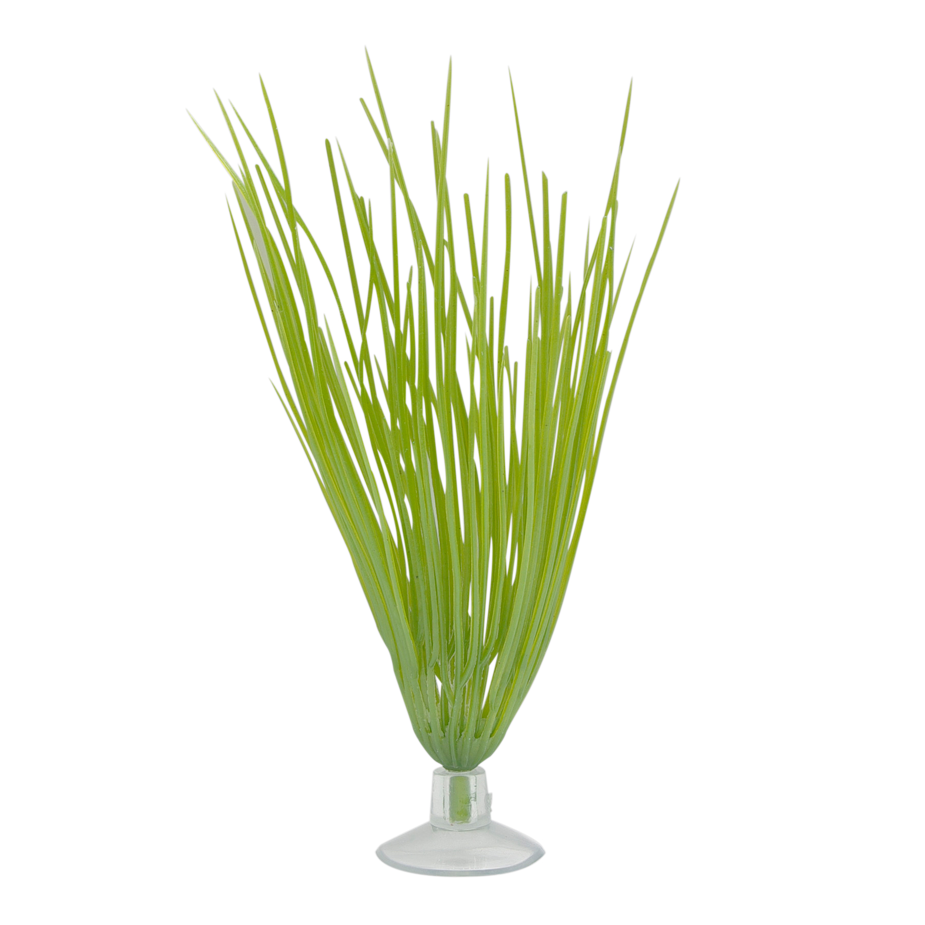 Deschampsie pour aquarium équipé Marina pour betta 12.7cm