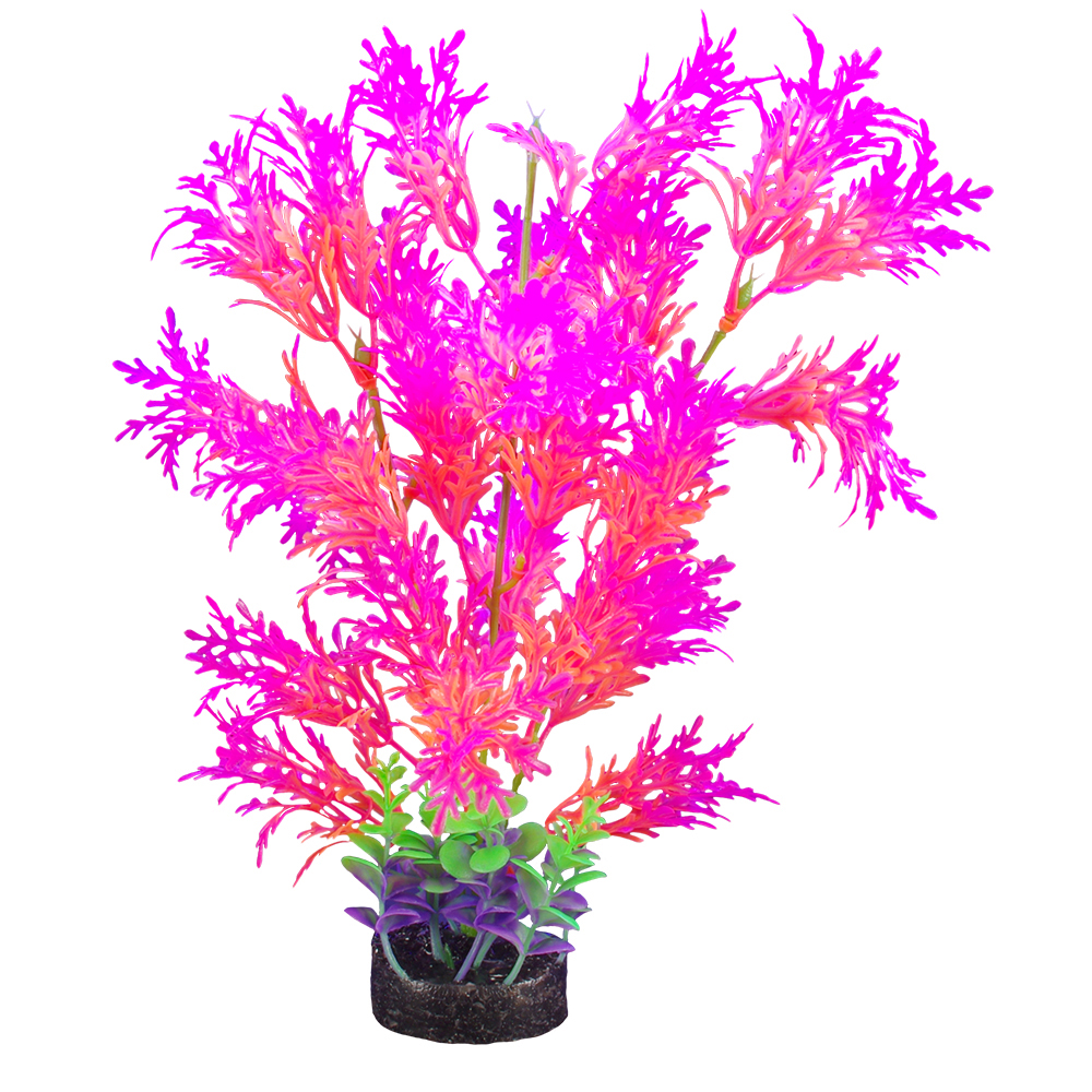 Plante iGlo Marina 12.5po/32cm