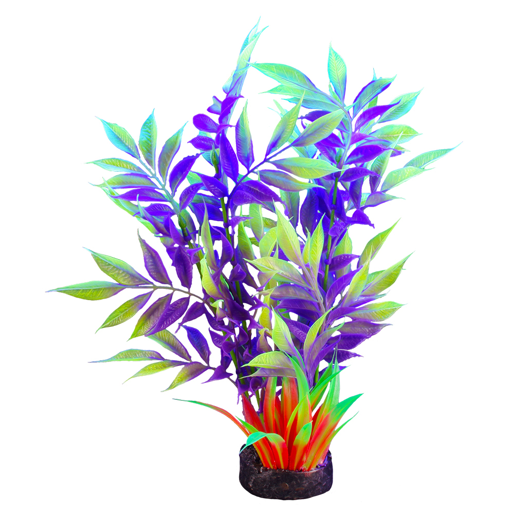 Plante iGlo Marina 7.5po/19cm