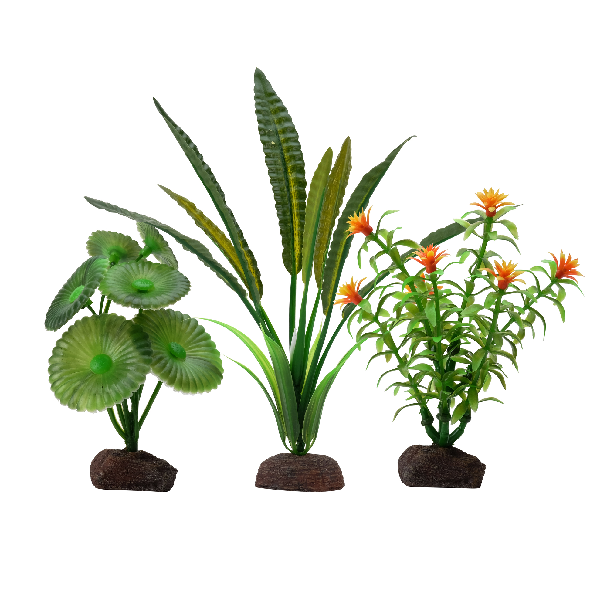 Collection de 3 plantes Élodée Plant Scapes Aqualife Fluval 10-20cm