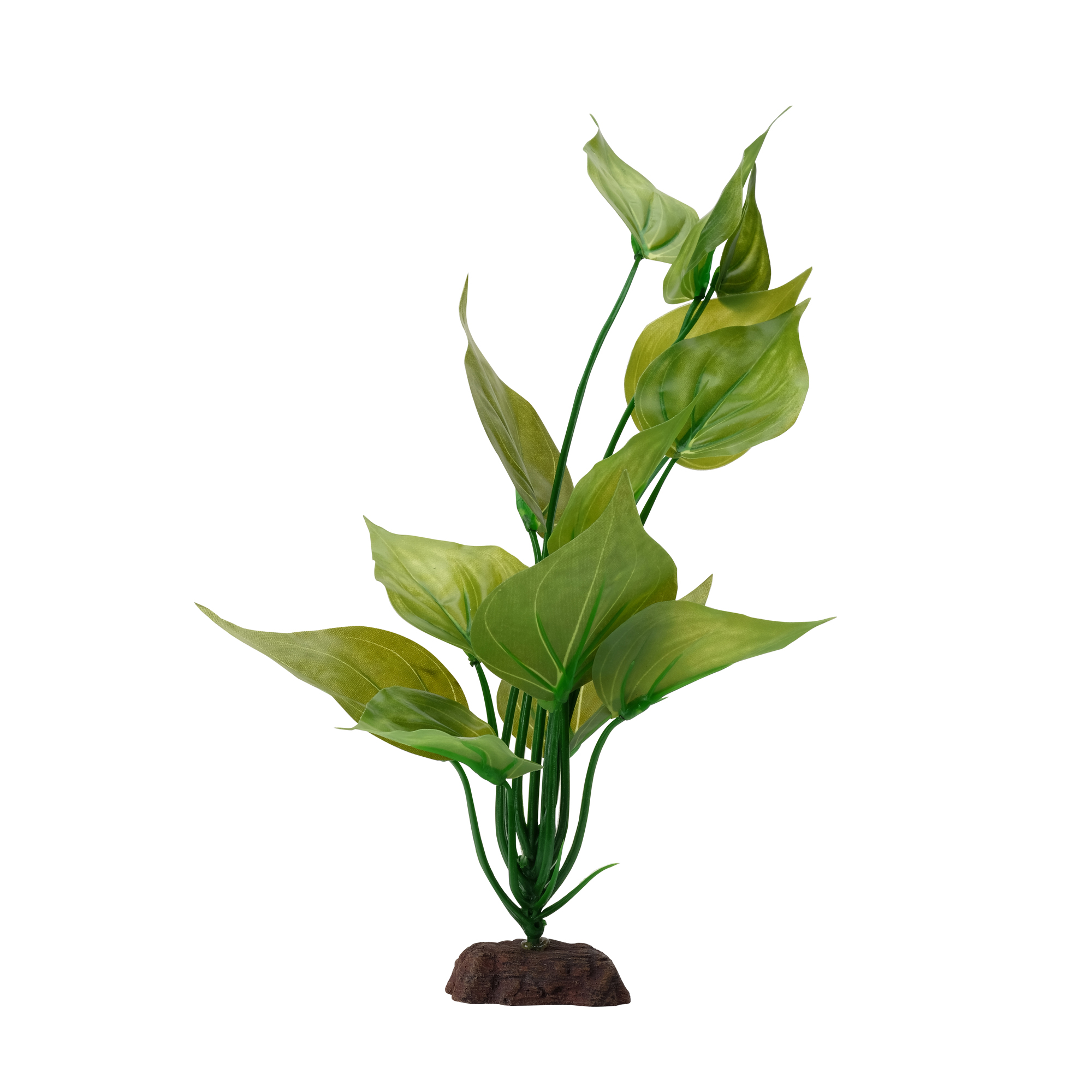 Saurure penché Fluval 30cm