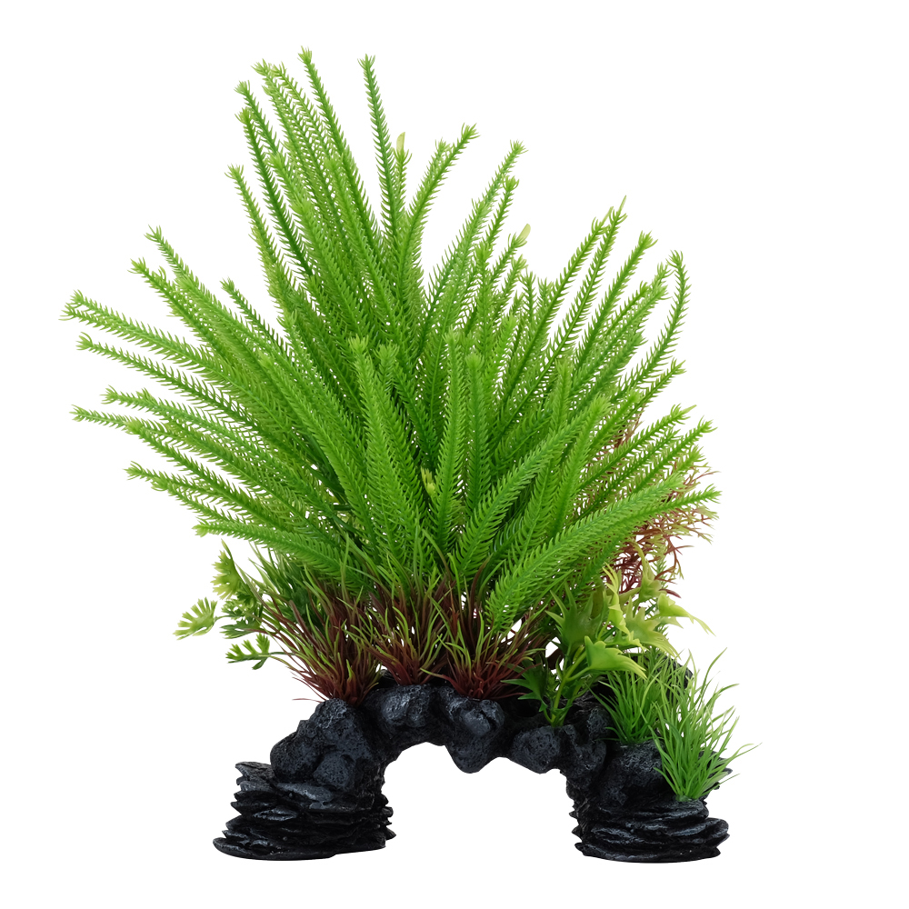 Lycopode obscur Deco Scapes Aqualife Fluval 25.5cm