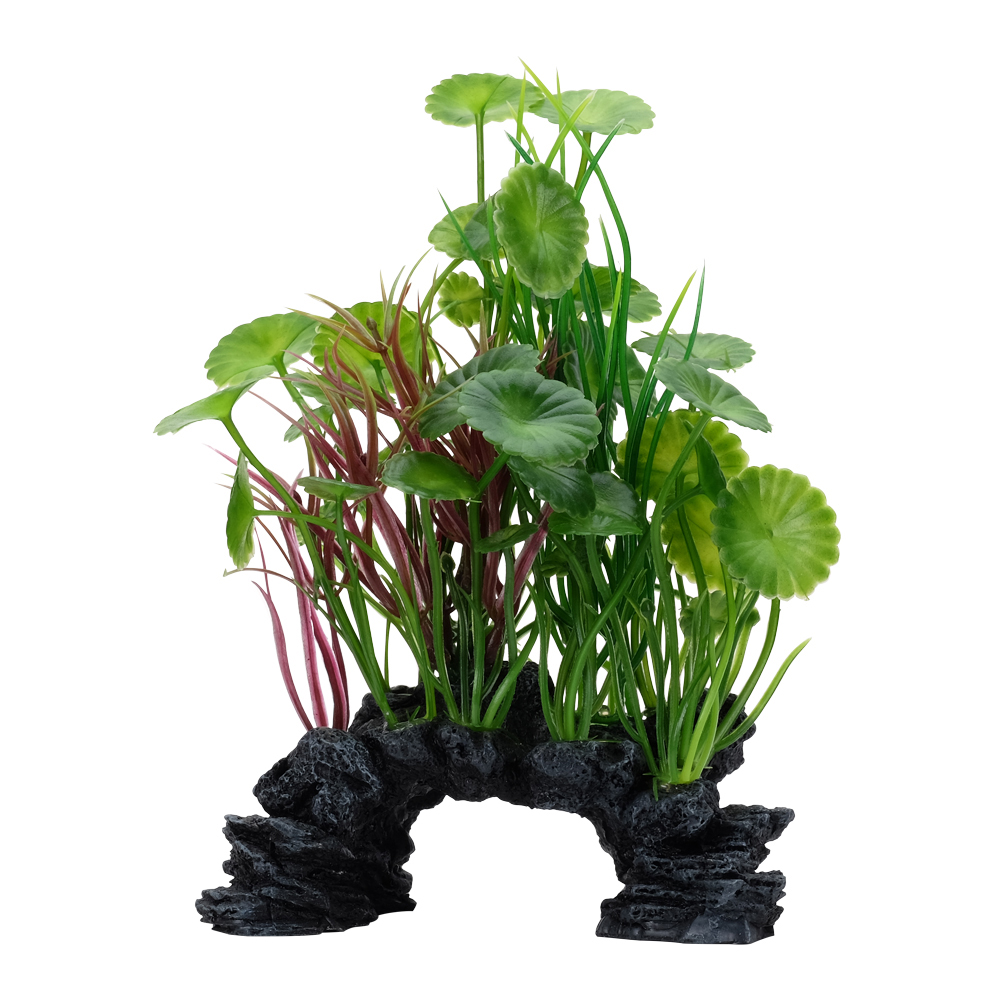 Lysimaque verte Deco Scapes Aqualife Fluval 15-20cm