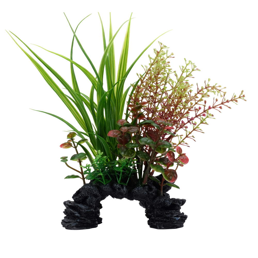 Sagittaire et rotala Deco Scapes Aqualife Fluval 15-20cm