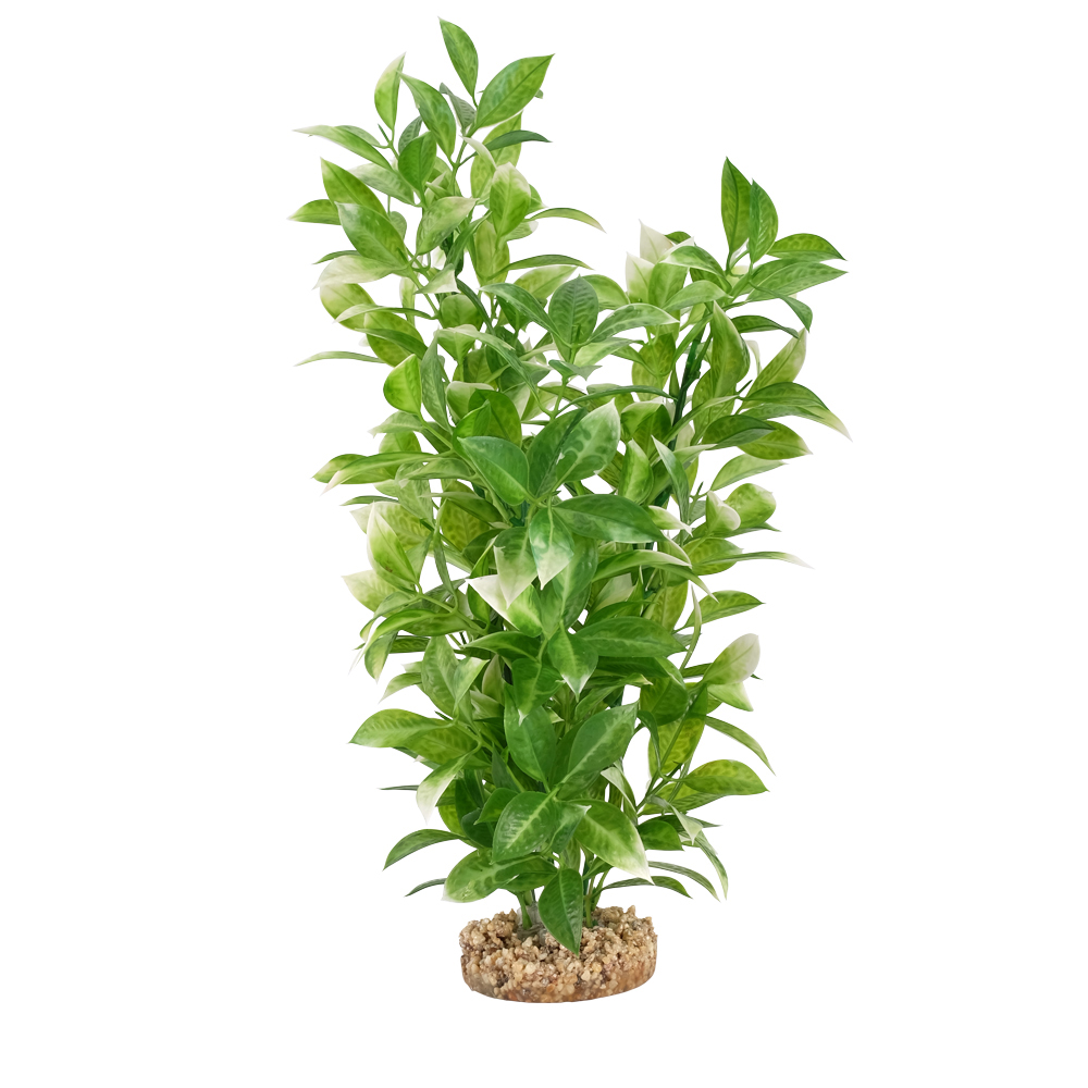 Ludwigia à pointes blanches Plant Scapes Aqualife Fluval 35.5cm