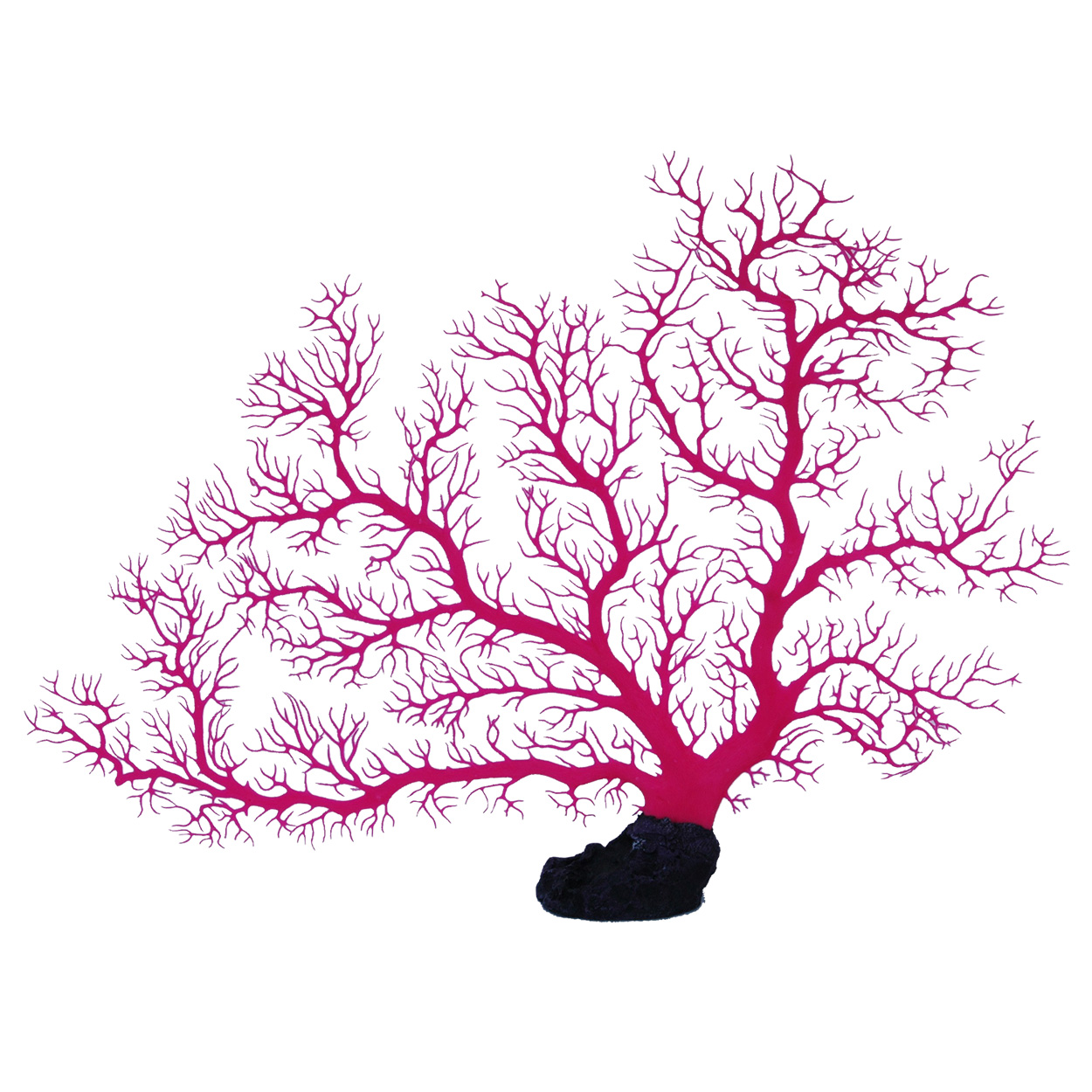 Underwater Treasures Sea Fan Coral