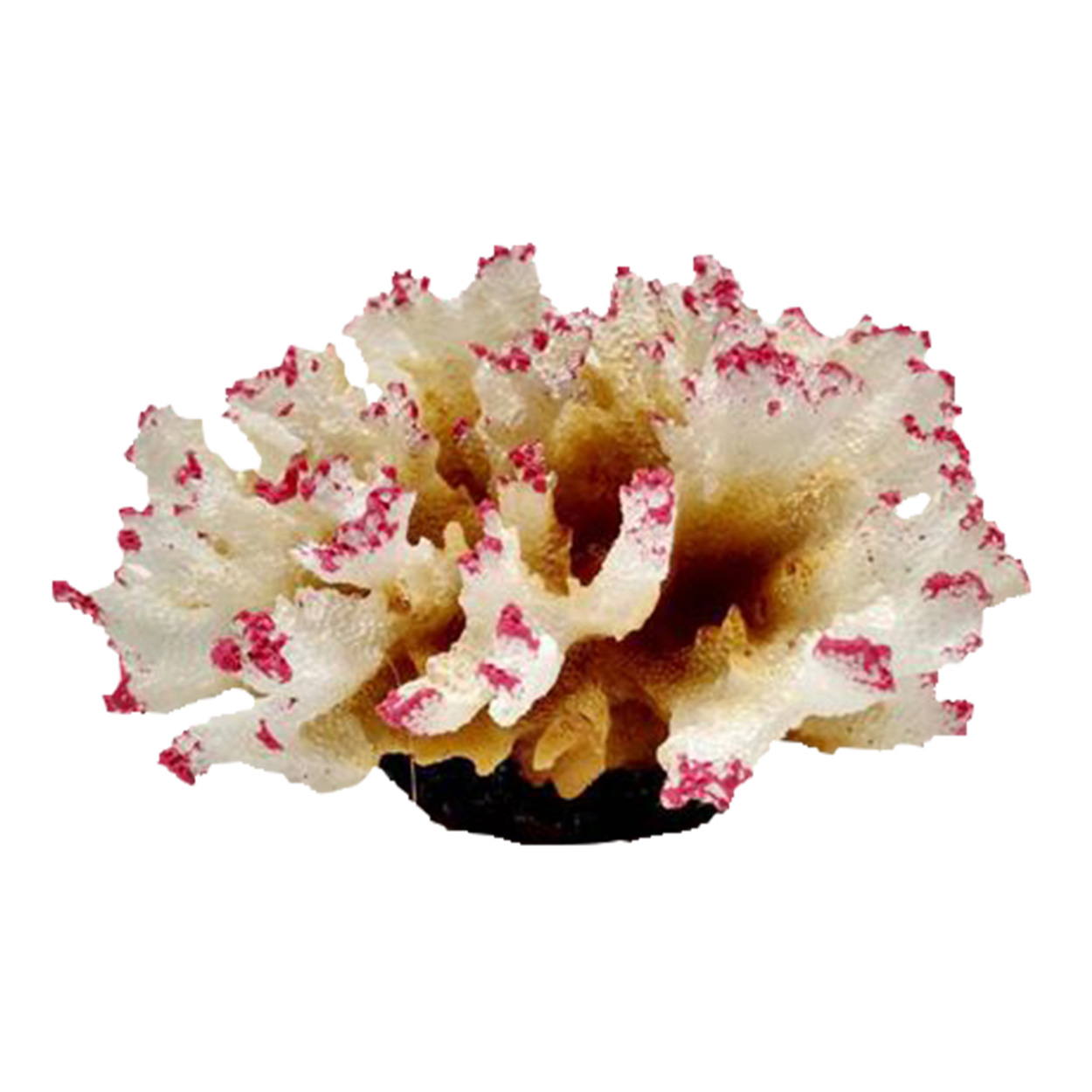 Underwater Treasures Aussie Branch Coral