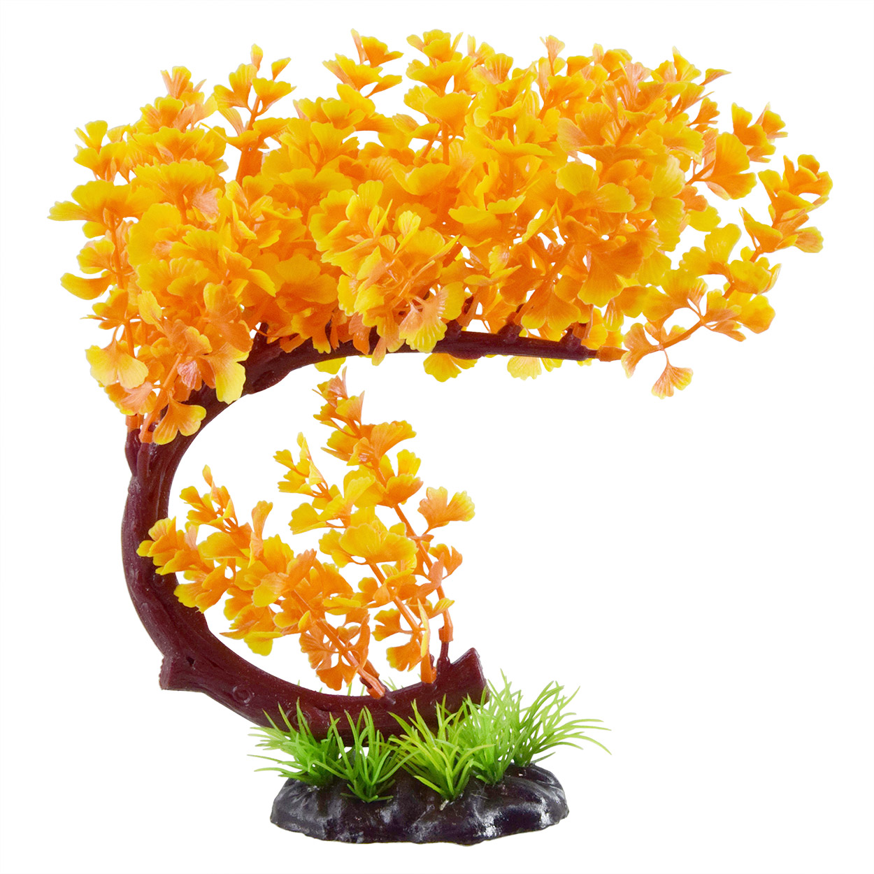 Underwater Treasures Bacopa Bonsai - Orange
