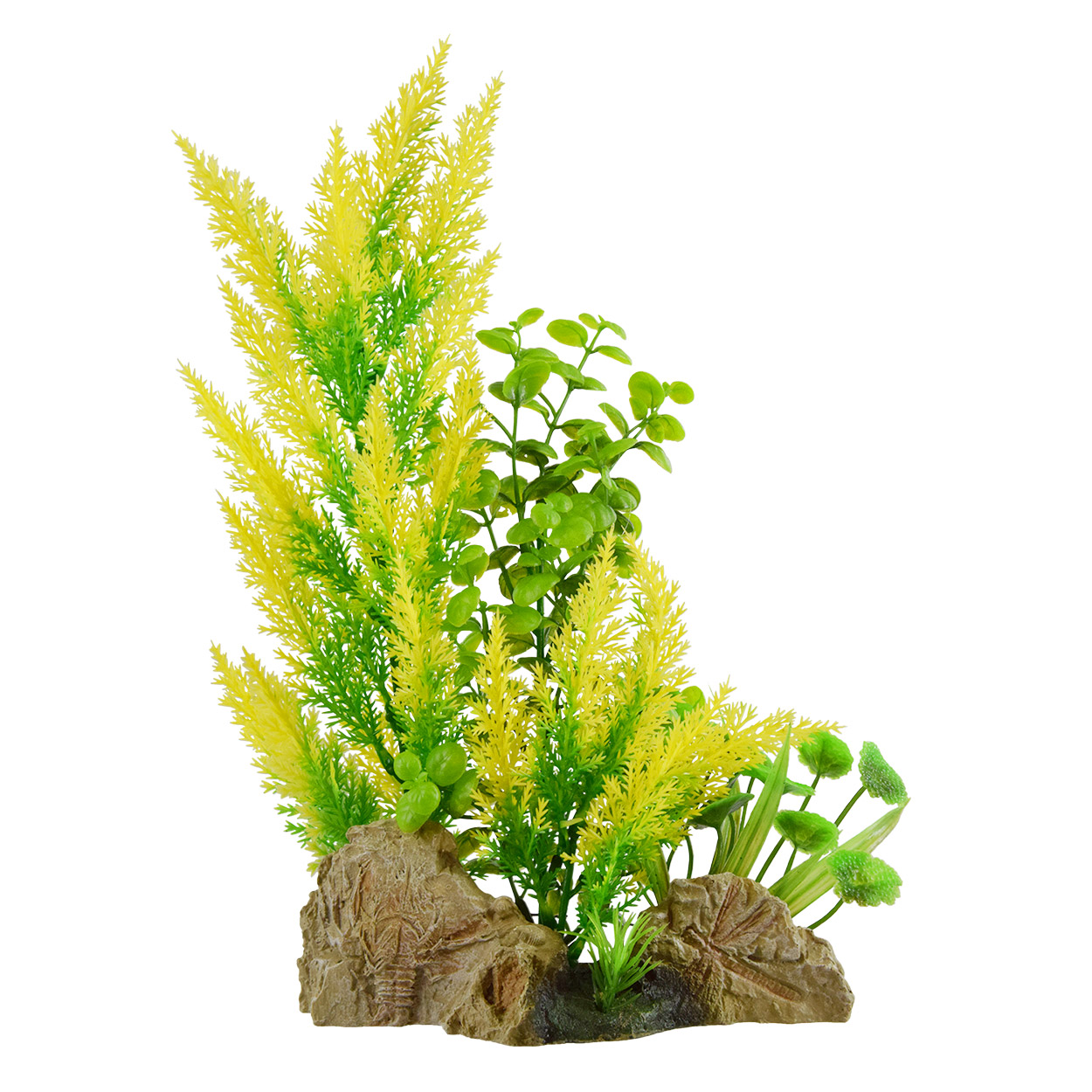 Underwater Treasures Yellow Plants On Root