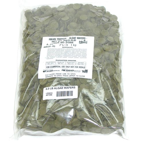 Hikari Algae Wafers