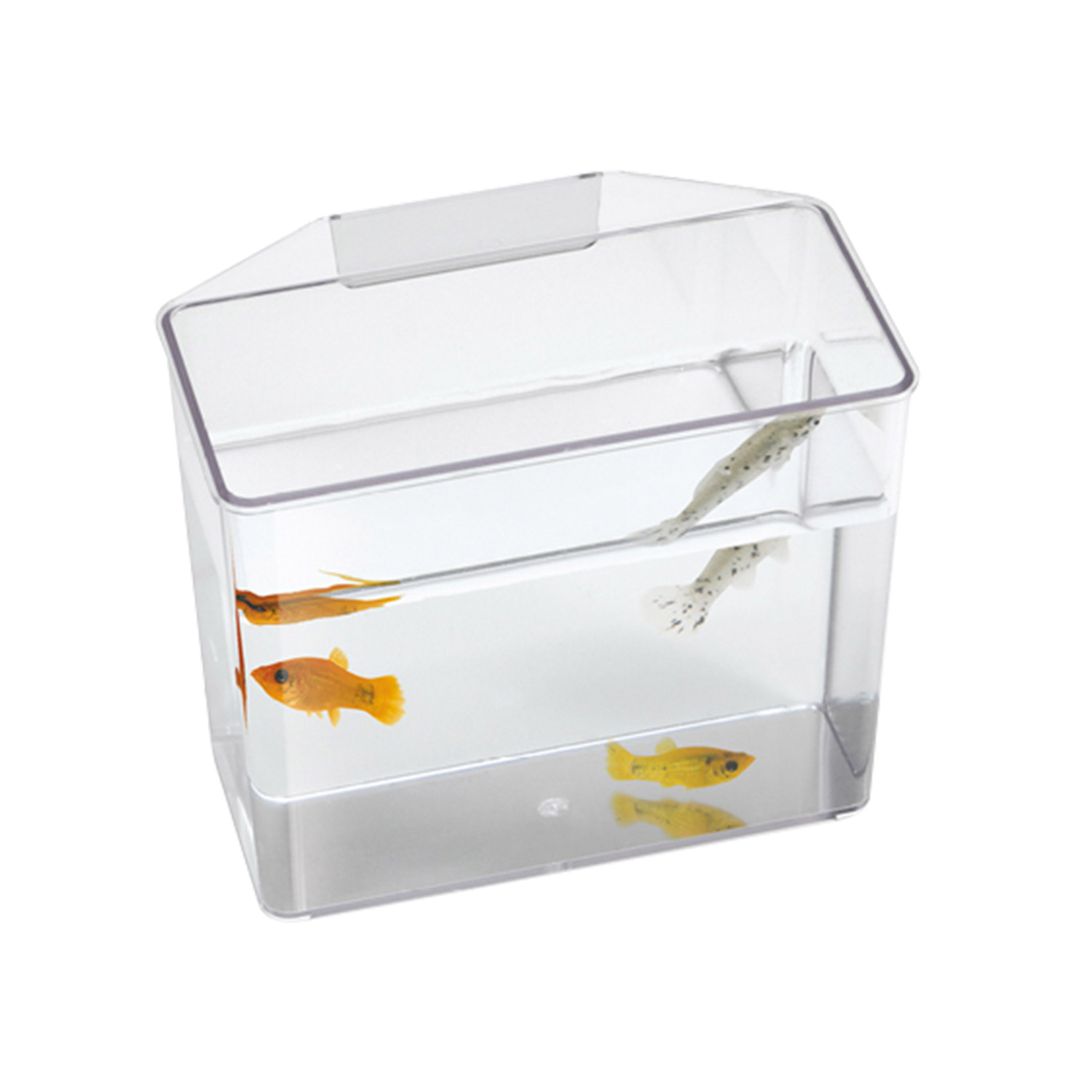 Lee`s Break Resistant Specimen Container