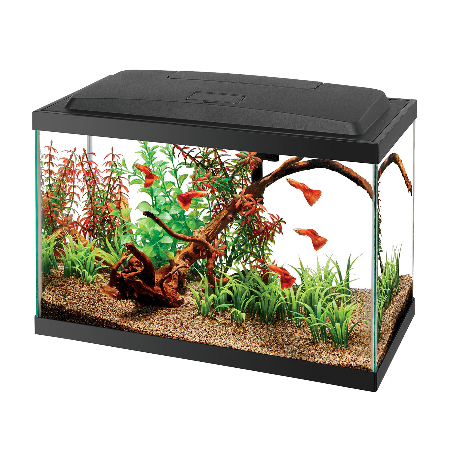 Aqueon LED Aquarium Kit 5.5GAL