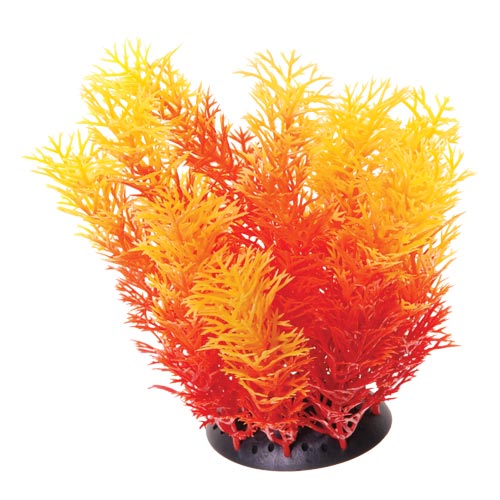Underwater Treasures Orange Cabomba 6