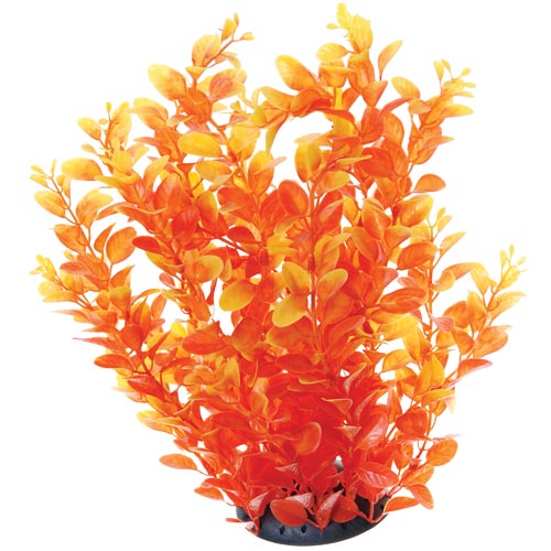 Underwater Treasures Orange Cardamine 12