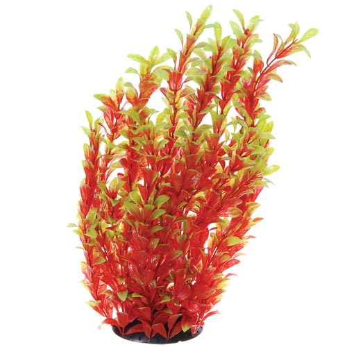 Underwater Treasures Red Ludwigia 16