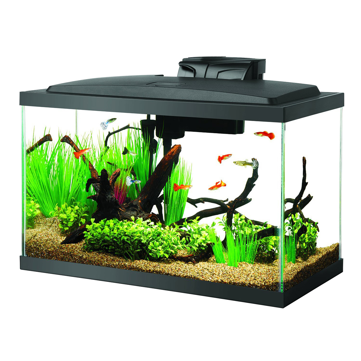 Aqueon LED Aquarium Kit 10GAL