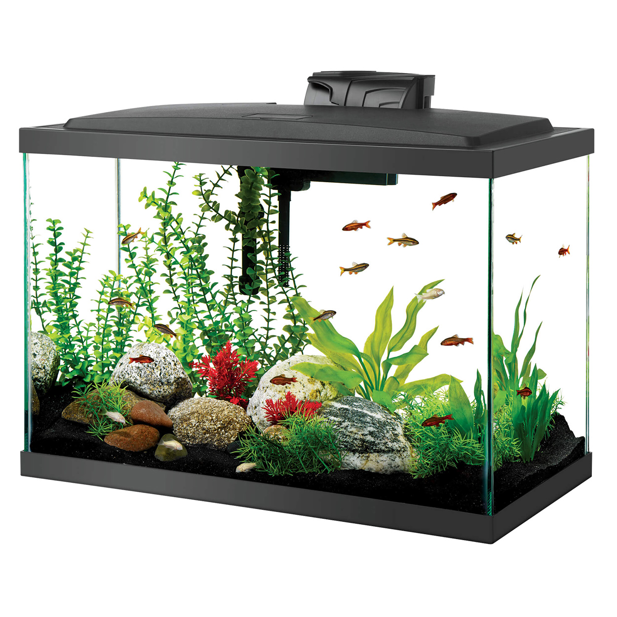 Aqueon LED Aquarium Kit 20GAL High