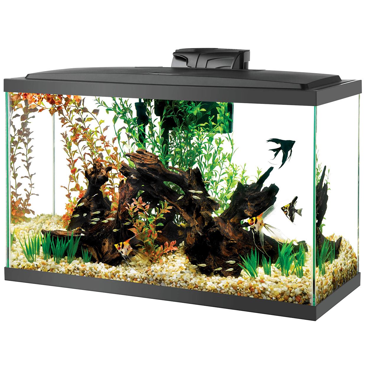 Aqueon LED Aquarium Kit 29GAL