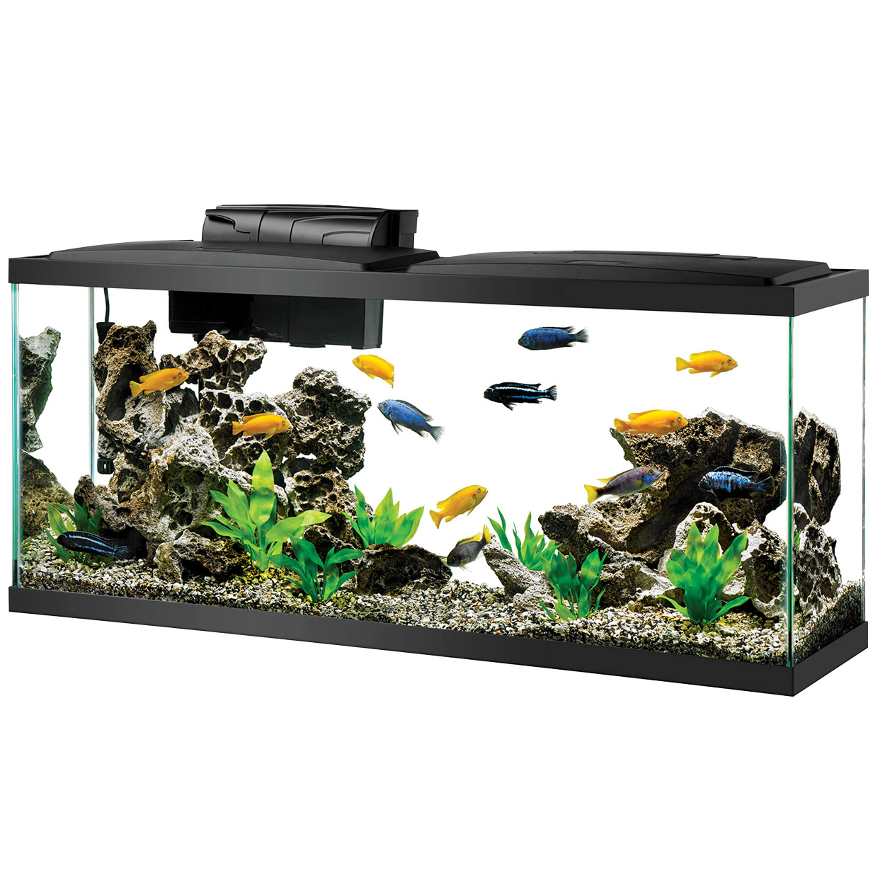 Aqueon LED Aquarium Kit 55GAL