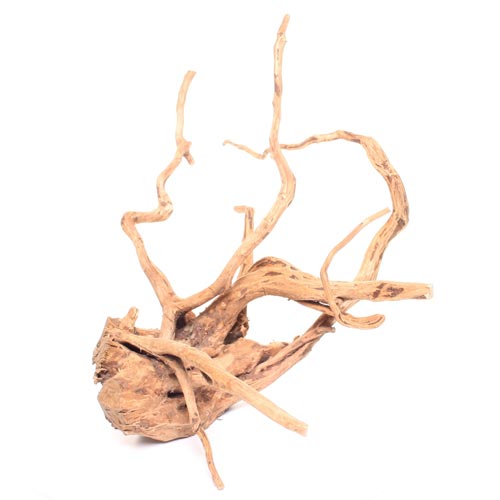 Underwater Treasures Terrarium Wood