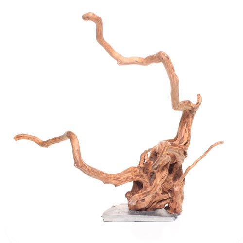 Bois aquarium plaque Nano