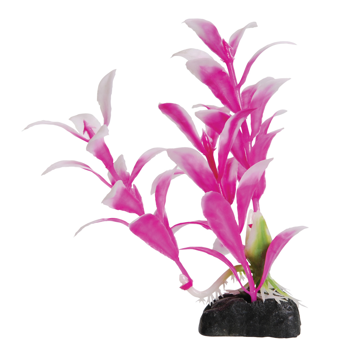 Underwater Treasures Pink Hygro 4.5
