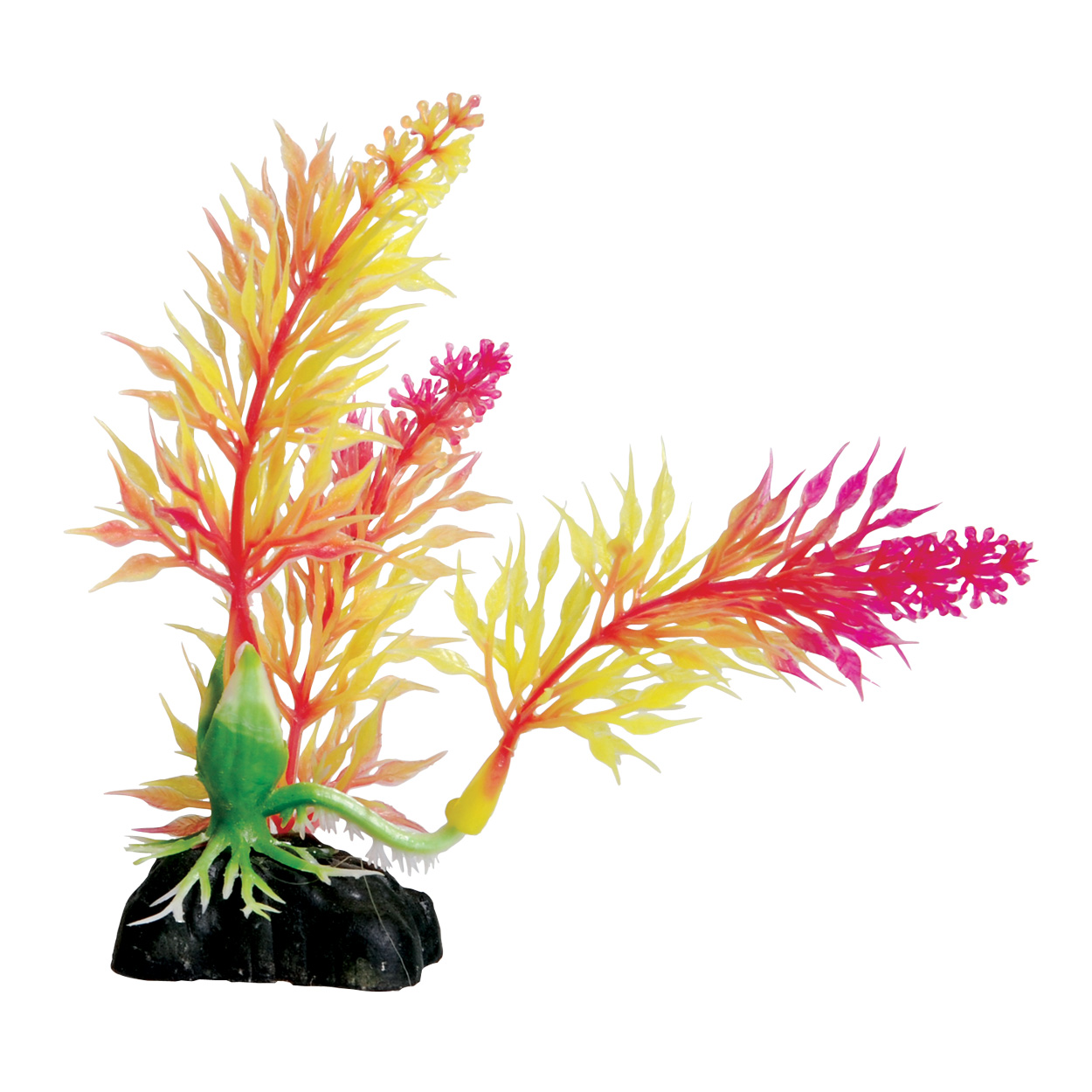 Underwater Treasures Pink Egeria 4.5