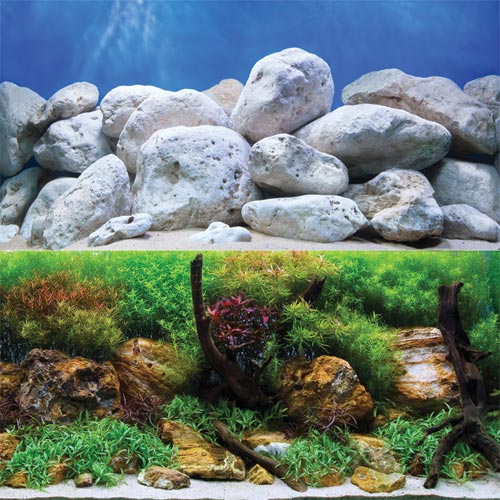 Underwater Treasures Aquagarden/White Stone Reversible Background 24