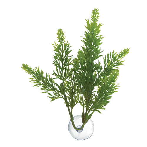 Zoo Med Betta Plant - Salvia