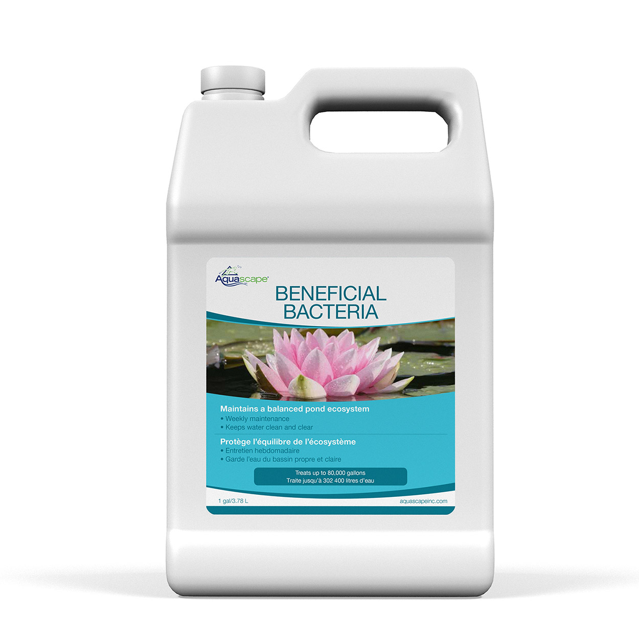 Aquascape Beneficial Bacteria