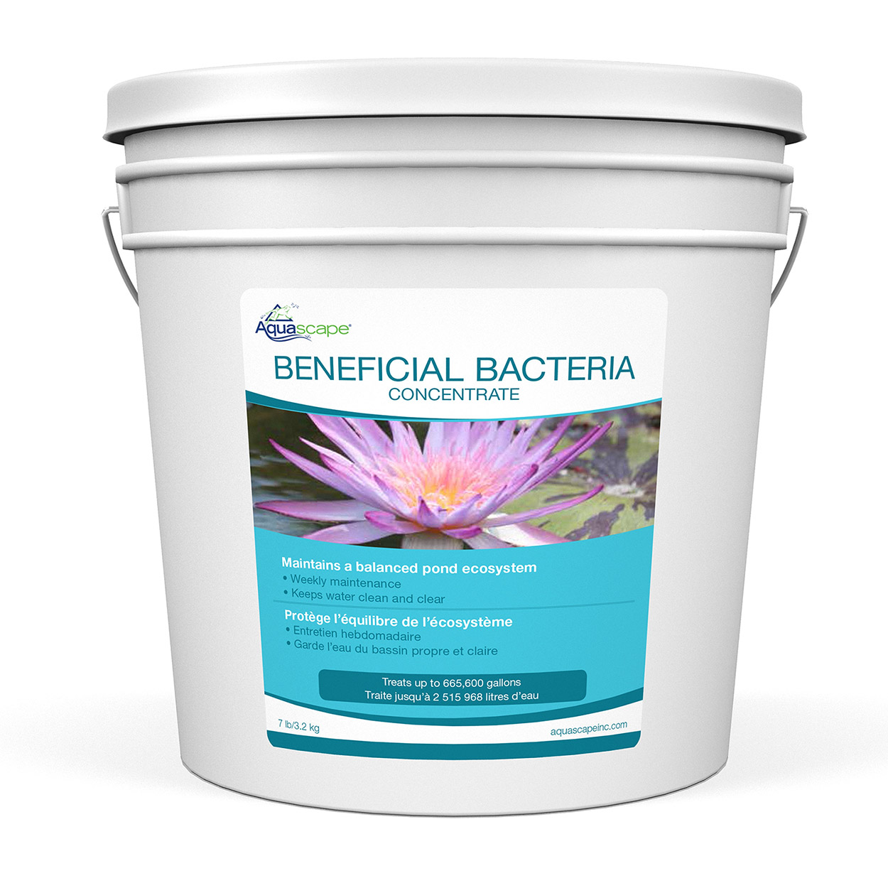 Aquascape Beneficial Bacteria Concentrate