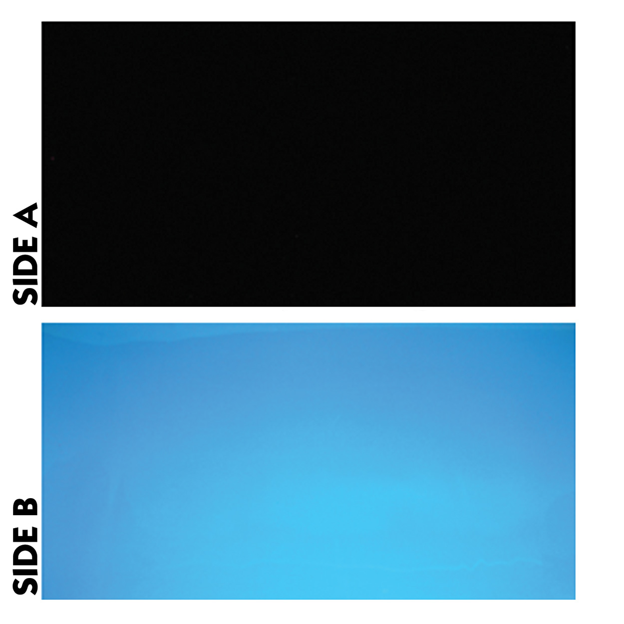 Underwater Treasures Black/Blue Reversible Background 12