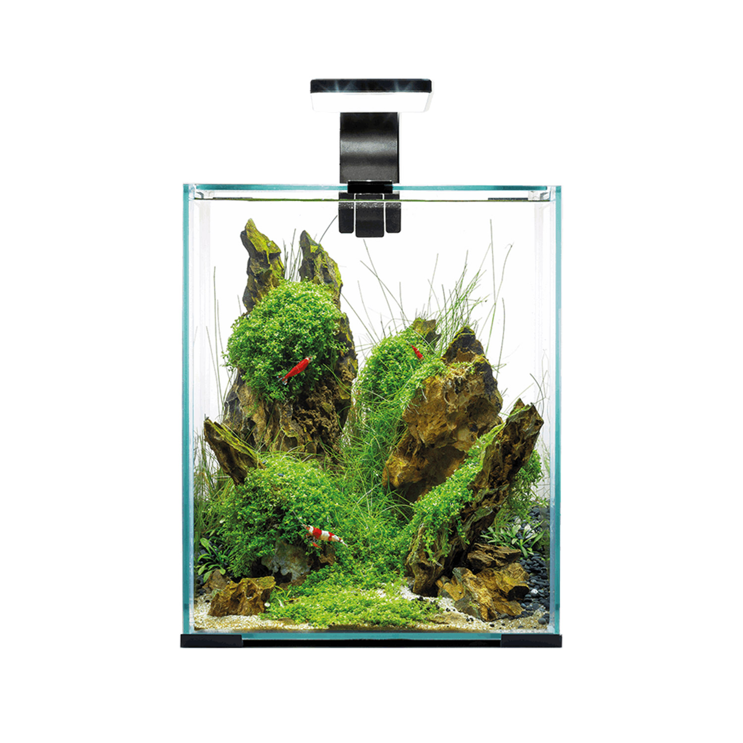 Aquael Shrimp Set 20L Black - Day & Night