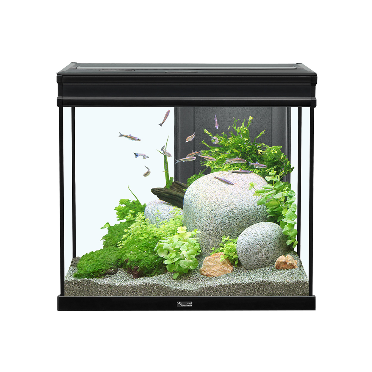 Aquatlantis Elegance Expert 60 Aquarium 27.5GAL - Black