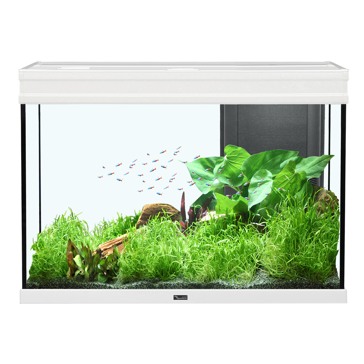 Aquatlantis Elegance Expert 80 Aquarium 36.5GAL - White