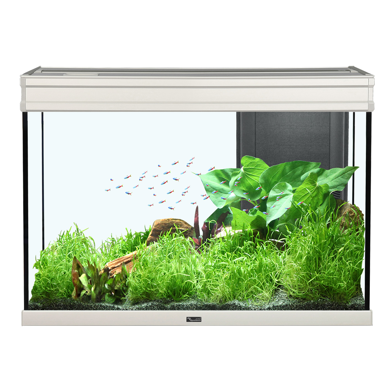 Aquatlantis Elegance Expert 80 Aquarium 36.5GAL - Grey