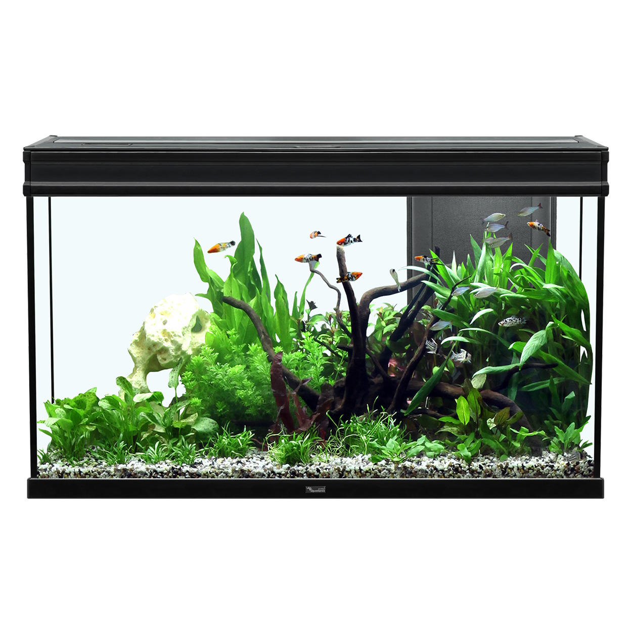 Aquatlantis Elegance Expert 100 Aquarium 51.5GAL - Black