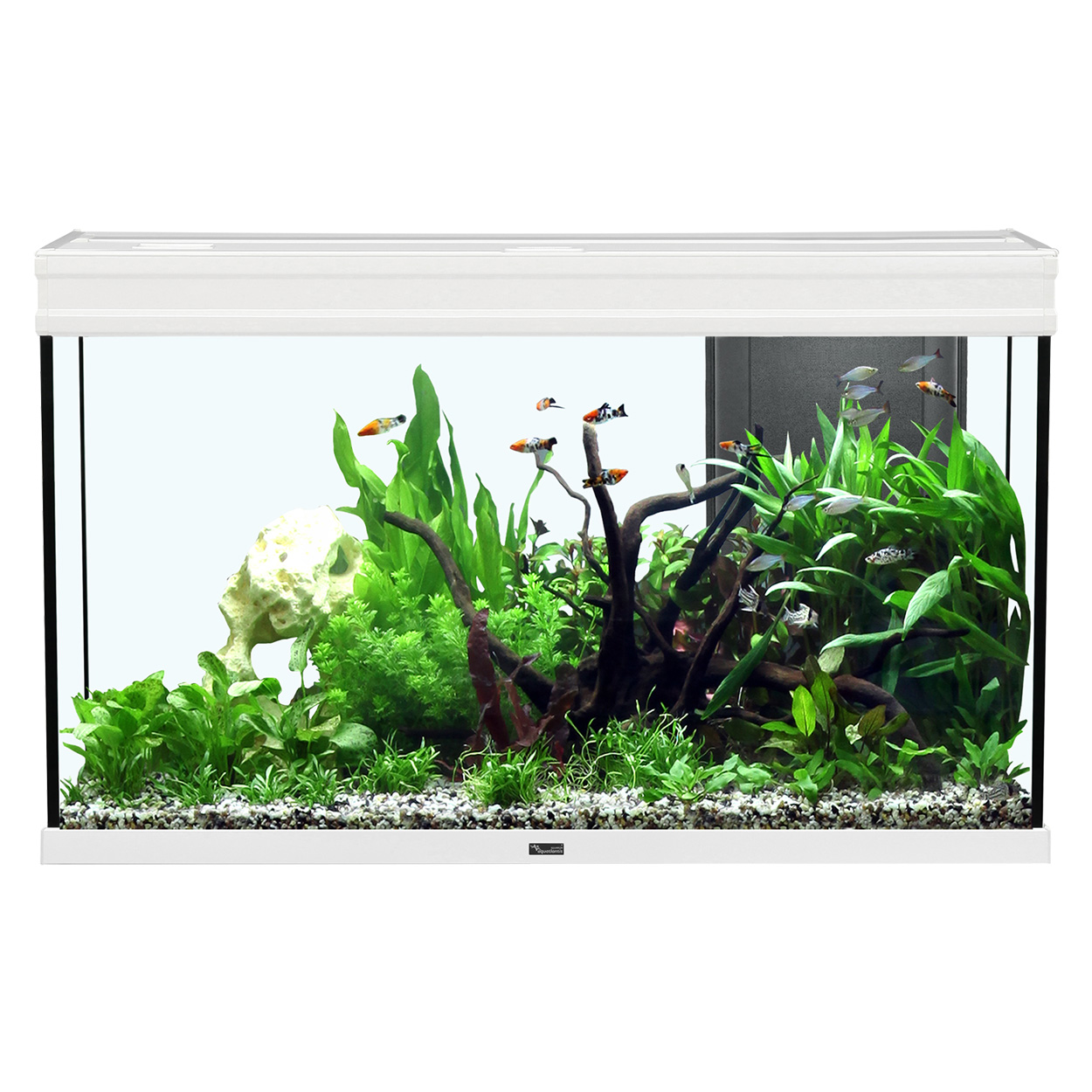 Aquatlantis Elegance Expert 100 Aquarium 51.5GAL - White