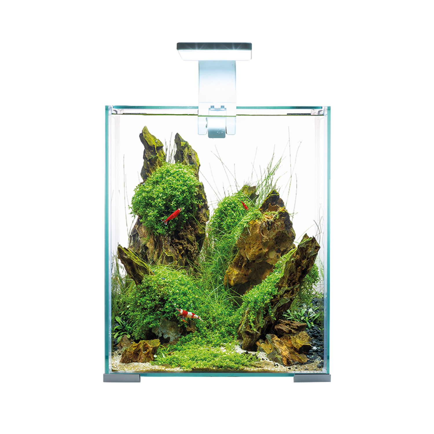 Aquael Shrimp Set 20L White - Day & Night
