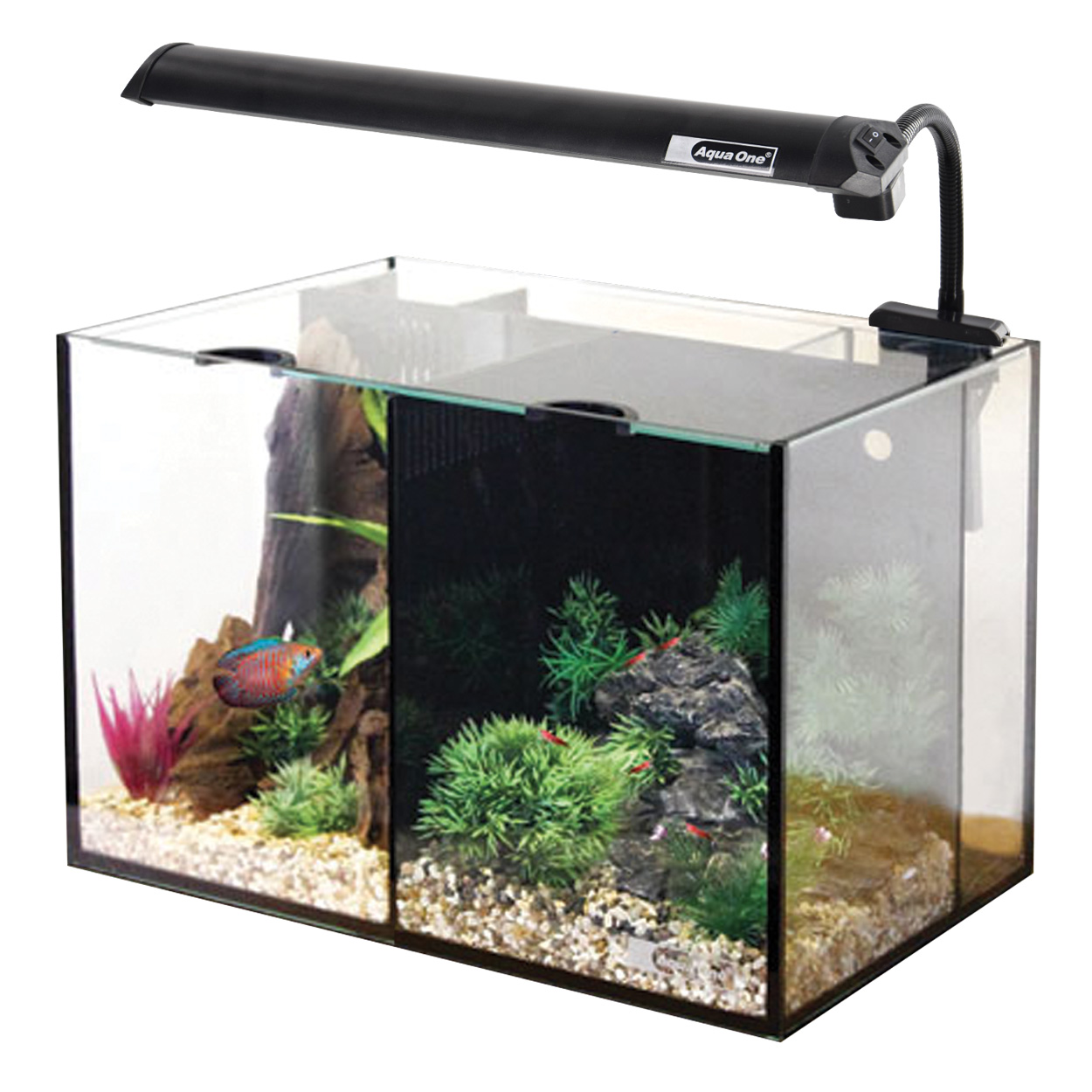 Aquarium équipé AquaOne Betta Duo 5.3GAL