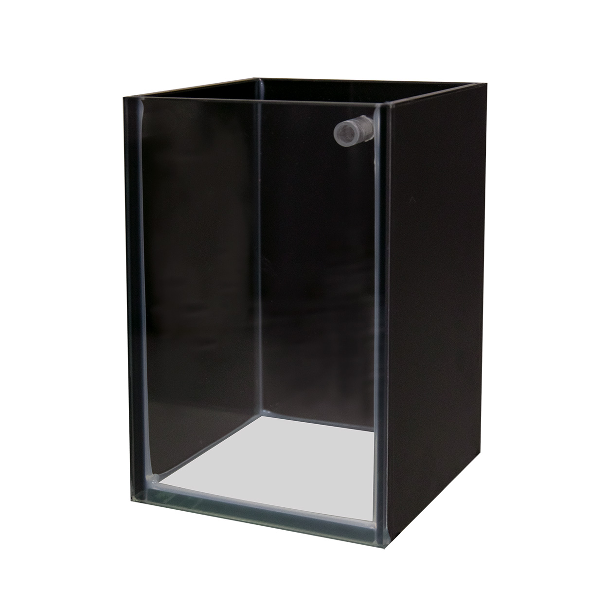 Seapora Betta Tank Shop Display