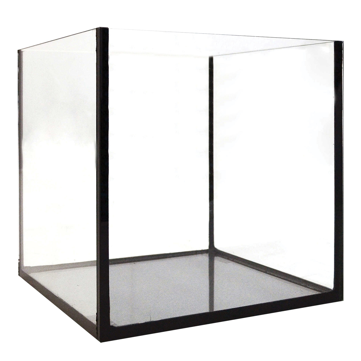 Seapora Rimless Cube Aquarium 1.74GAL