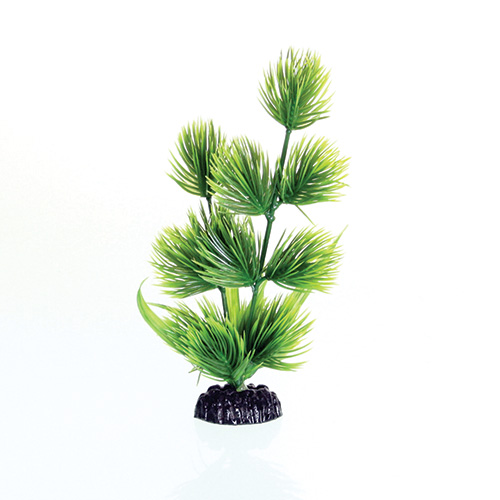 Underwater Treasures Green Conifer