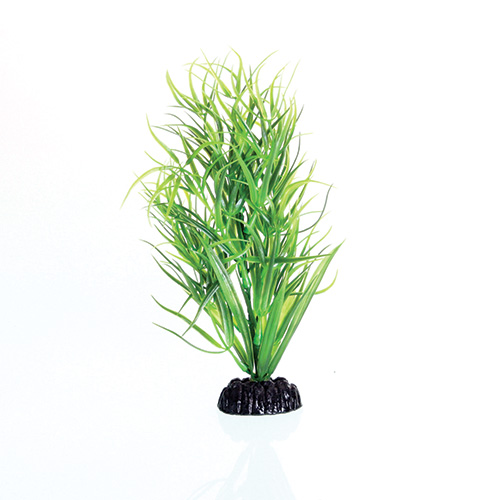 Underwater Treasures Green Diandra