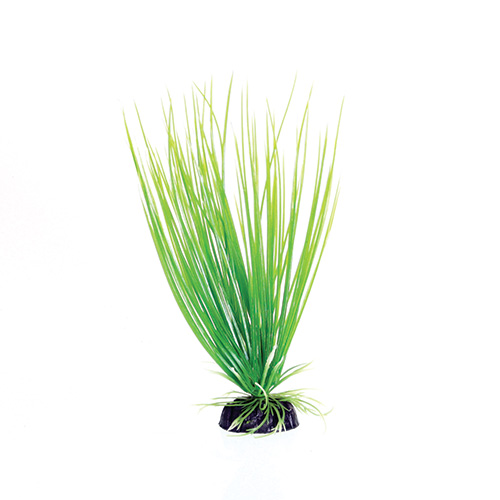 Underwater Treasures Green Hairgrass