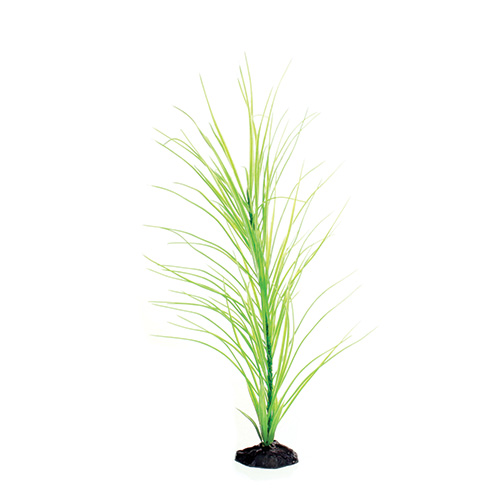 Underwater Treasures Green Hairgrass 20